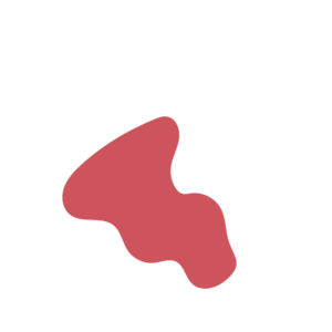 A5e768c0-placeholder-1770006278