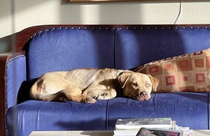 Jkevincrawford-1709147919