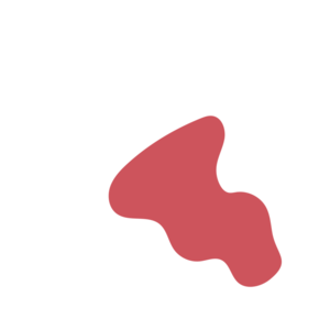 16045fc7-placeholder-1770021179