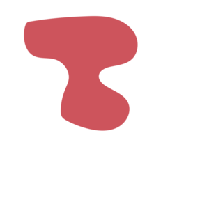 A3d4b376-placeholder-1770001236