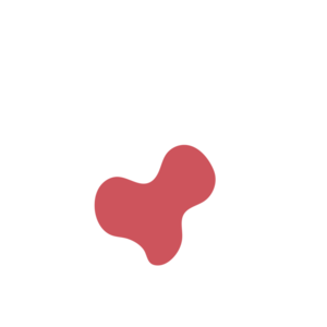 E02d4f83-placeholder-1770007839