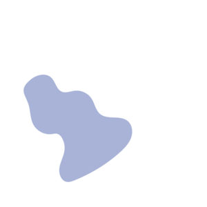 Bf24a8bc-placeholder-1770021196