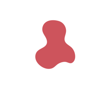 D51ce138-placeholder-1768564140