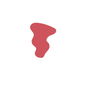 2376562a-placeholder-1770018899