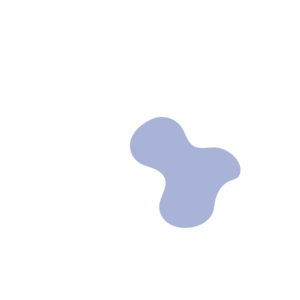 48c81939-placeholder-1770011750