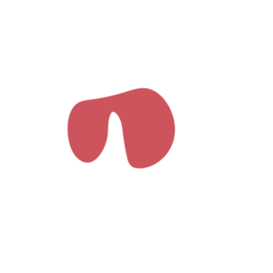 Cc459ab1-placeholder-1770025672