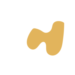 7885da3a-placeholder-1770022387