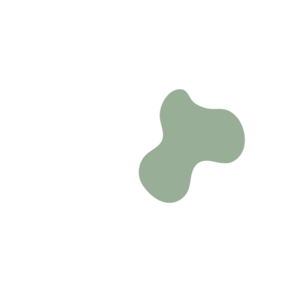 312f4f10-placeholder-1770046728