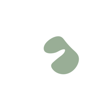 91a7c837-placeholder-1770005413