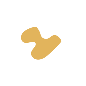 80a1b59f-placeholder-1770020802