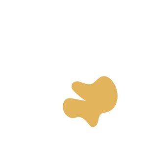 A128ed34-placeholder-1770032272