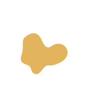 Aa748784-placeholder-1770007060