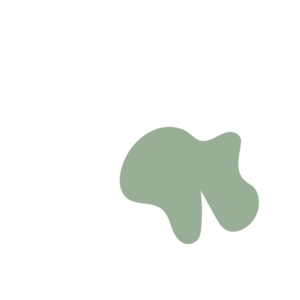 E275a626-placeholder-1770016237