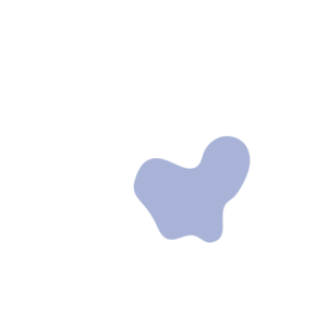 9fe1f915-placeholder-1770031398