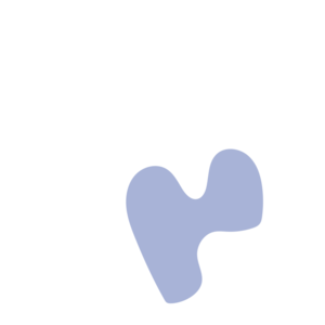 4252a7b5-placeholder-1769761483