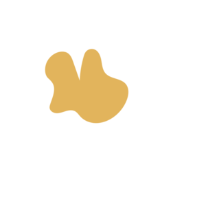 Cae9e877-placeholder-1770014122