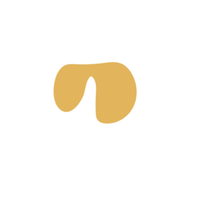 17edffc4-placeholder-1770056339