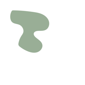 17631c96-placeholder-1769998728