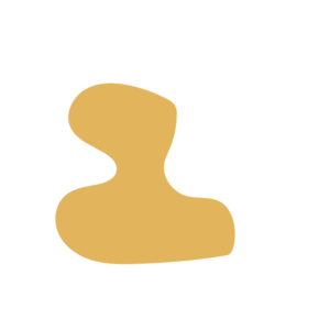 D6b53d9f-placeholder-1770011666