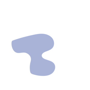 848ae77f-placeholder-1770048286