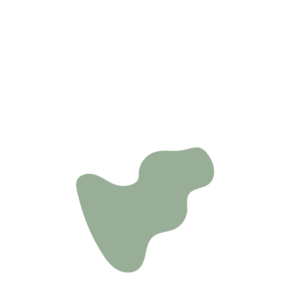 17f7aa49-placeholder-1770017954