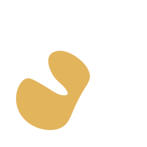 30afbabb-placeholder-1770026306