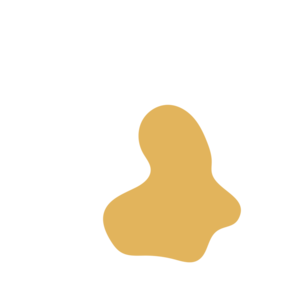 60f67dd2-placeholder-1769995777