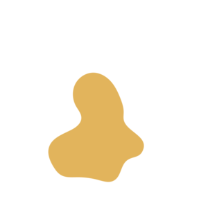 9b42e30b-placeholder-1770040514