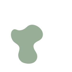 25334ded-placeholder-1770009581