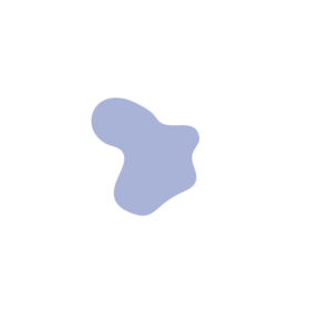 01cf0d6c-placeholder-1770004961