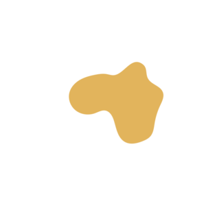 8e410842-placeholder-1769293935