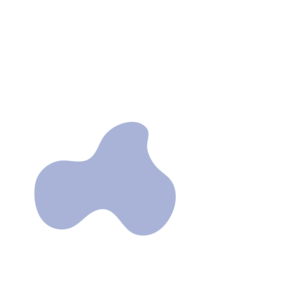 Cee670a0-placeholder-1770013729