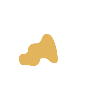 Af638d2c-placeholder-1768563833