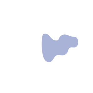 E259ac9a-placeholder-1770017849