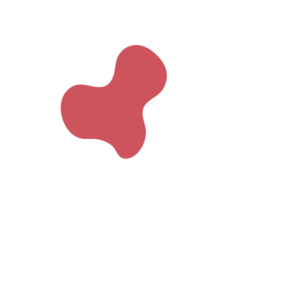 F44393d1-placeholder-1770054930