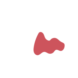 51108121-placeholder-1770032534