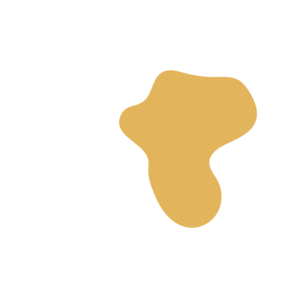 Fd23a83e-placeholder-1770004958