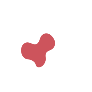 31a9def9-placeholder-1770033554