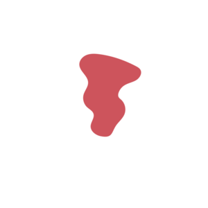 Ad954e12-placeholder-1770047361