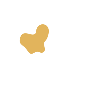 F017caac-placeholder-1770030273