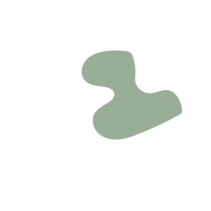 D1ed426b-placeholder-1770054221