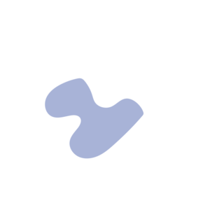 69d779ae-placeholder-1769997008