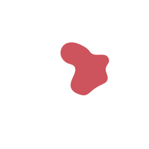 7086acea-placeholder-1770022854