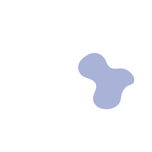 650de9b5-placeholder-1770019159