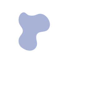 669dc5b9-placeholder-1770037667