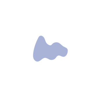 00f8163b-placeholder-1770024036