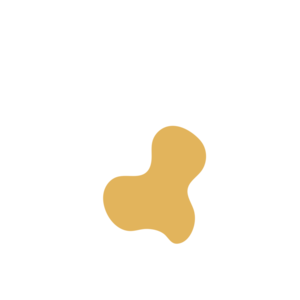 Ed3b3c1a-placeholder-1770006923