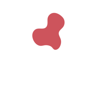 55c4178a-placeholder-1770009270