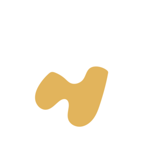 13b8cee5-placeholder-1770047588