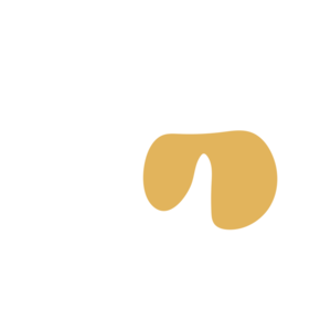 2ba9b091-placeholder-1769101790